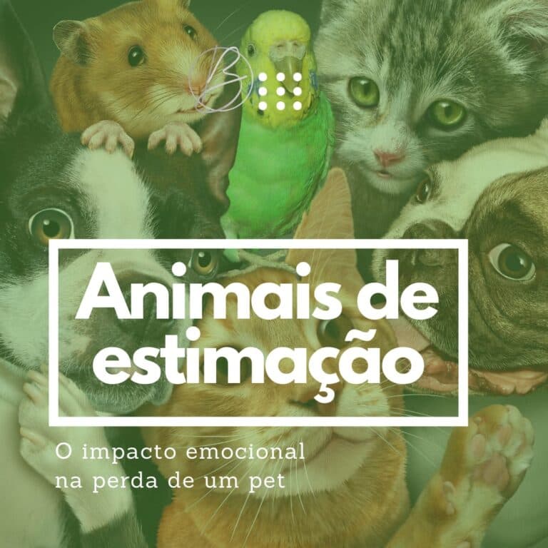 Imagem de capa sobre o impacto emocional na perda de um pet