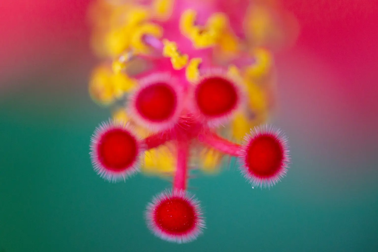 Dezembro Vermelho: combate e prevenção ao HIV/AIDS e outras ISTs